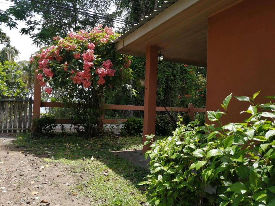 Cahuita Lodge מראה חיצוני תמונה